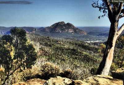 P7220971-warrumbungle-NP.jpg