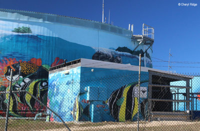 6311-bowen.jpg