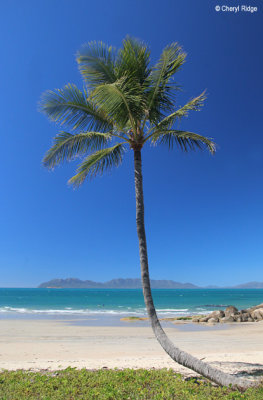 Rose Bay, Bowen, Whitsunday Coast, Queensland