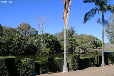 5275-bundaberg-botanic-gdns.jpg