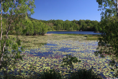 7100-cattana-wetlands.jpg
