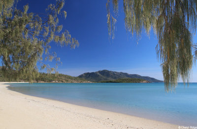 6208b-dingo-beach.jpg