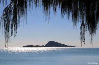 6222b-dingo-beach.jpg