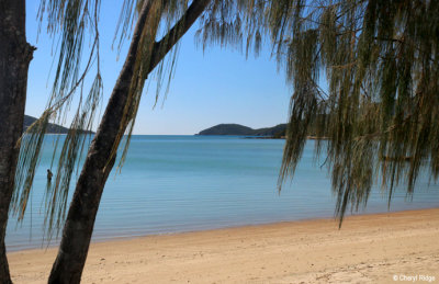 6229b-dingo-beach.jpg