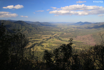 5390-eungella.jpg