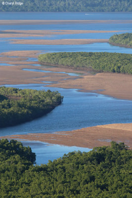 8463-hinchinbrook-lookout.jpg