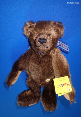 Sunkid bear