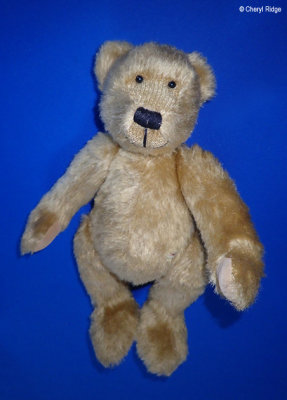 Sunkid bear