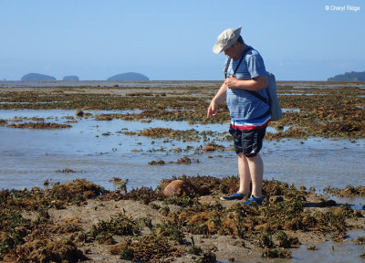 P8300997-reef-walk.jpg