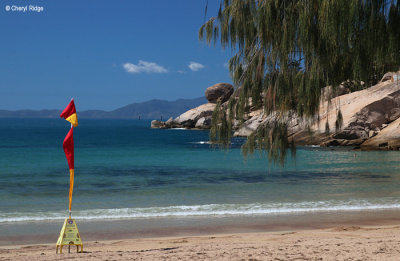 6637b-alma-bay.jpg