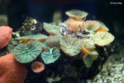 6556-aquasearch.jpg
