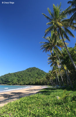 6919b-bingil-bay.jpg