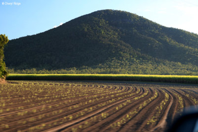 5400-eungella-to-proserpine.jpg