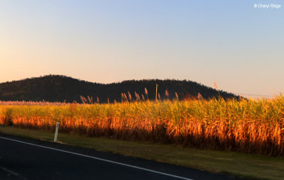 5405-eungella-to-proserpine.jpg