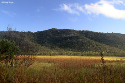 6450-townsville.jpg