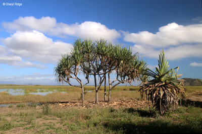6461b-townsville.jpg