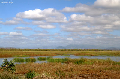 6467b-townsville.jpg
