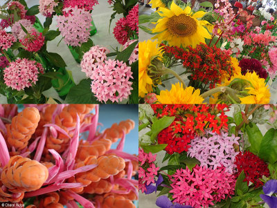 flower-show-mixed.jpg