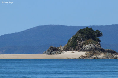 8586b-whitsundays.jpg