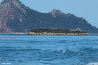 8593-whitsundays.jpg