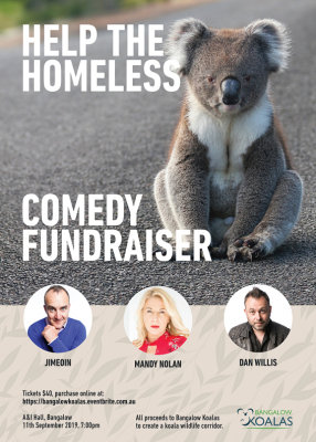 Bangalow Koalas comedy fundraiser - koala image supplied