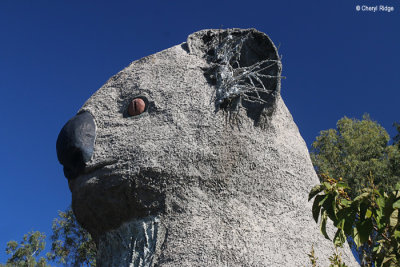 4200 Giant koala