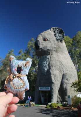 Woollybuttbears koala visits Giant Koala
