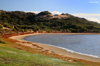 4447-pool-of-siloam.jpg