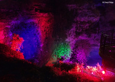 P3300476-cave-garden.jpg