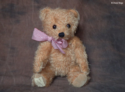 Deans club bear