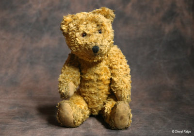 vintage european teddy bear