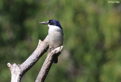 7852-cattana-wetlands.jpg