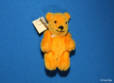 miniature bear Linus John by Mary and Wendy Joy