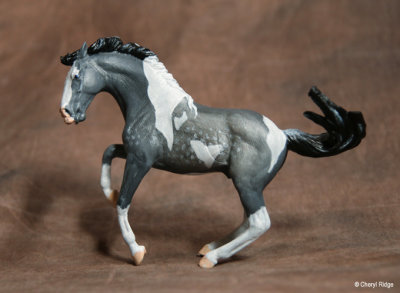 CollectA Lusitano CM by Star Loesch