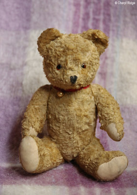 vintage european teddy bear