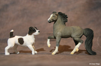 Breyer Stablemate G2 flocked Morgan and Jack Russell Terrier
