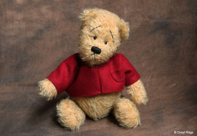 Unknown bear wearing red jacket