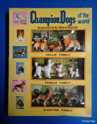 Vintage champion dogs