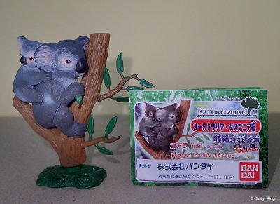 Bandai Nature Zone koala