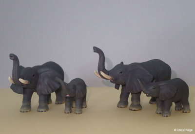 Bandai elephants