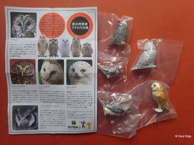 Kaiyodo Capsule Q Museum Owls set