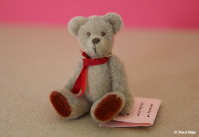 Mini bear Winchester by Julie South Aust