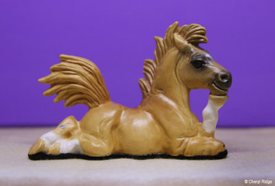 Stud Muffin pony by Debbie Poole