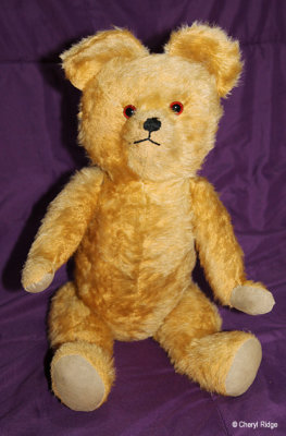 2888 vintage bear