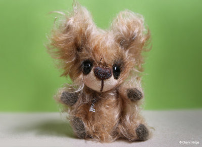 Fox bear by Gelabaers Germany