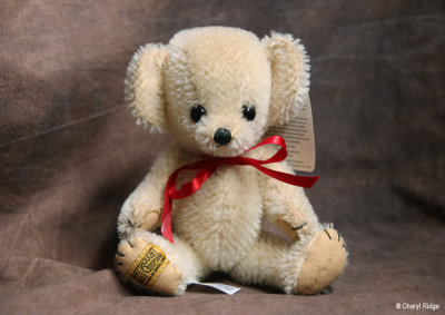 Merrythought Cheeky bear UNKNOWN