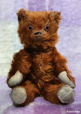 3361 vintage bear