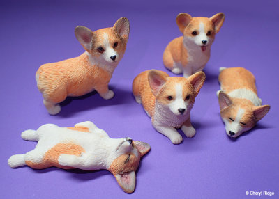 MMOS Miniature Corgi Dog set