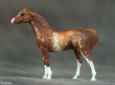 Breyer Stablemate Arab CM etched by Bo Wrona