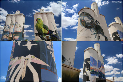 Silo art, Waikerie